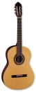 Samick C 4 N - gitara klasyczna, rozmiar 4/4 - wyprzedaż