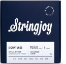 Stringjoy BAL107 SIGNATURES 10-60 7-str - Struny do gitary elektrycznej
