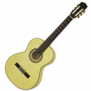 ARIA A-20 F (N) - Gitara klasyczna