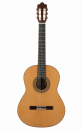 Prodipe Guitars Soloist 700 4/4 - Gitara klasyczna