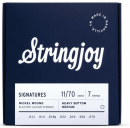 Stringjoy HVY117 SIGNATURES 11-70 7-str - Struny do gitary elektrycznej