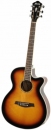 Ibanez AEG10II-VS - gitara elektroakustyczna
