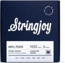 Stringjoy ARTAP SIGNATURES 14-62 Ariel Posen Artist Series - Struny do gitary elektrycznej