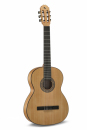 Manuel Rodriguez Caballero CA-PM F - Gitara klas.
