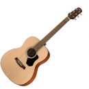 WALDEN O 350 W (N) - Gitara akustyczna z pokrowcem