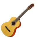WALDEN N 450 W (N) - gitara klasyczna + pokrowiec
