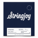 Stringjoy BA50130LS struny do gitary basowej niklowane 50-130 5-str