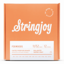 Stringjoy FW1125 struny do gitary akustycznej 12-strunowej FOXWOODS Phosphor Bronze 11-52