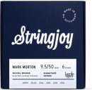Stringjoy ARTMM SIGNATURES 9.5-50 Mark Morton Artist Series - Struny do gitary elektrycznej