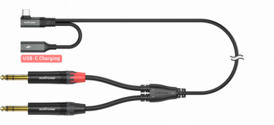 Roxtone RA3B-TC2JS - Dwukanałowy symetryczny kabel audio USB