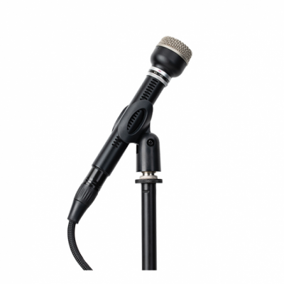 Warm Audio WA-19 Black - Mikrofon dynamiczny