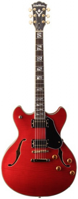 WASHBURN HB 35 (WR) gitara elektryczna