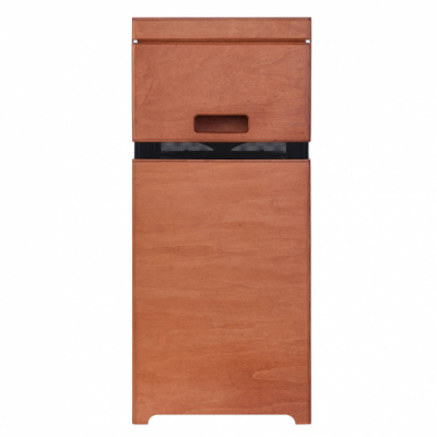 ACUS ALLAROUND 10 WOOD - Wzmacniacz do instrumentów akustycznych