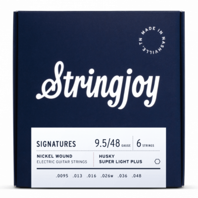 Stringjoy HSK95 struny do gitary elektrycznej SIGNATURES 9.5-48