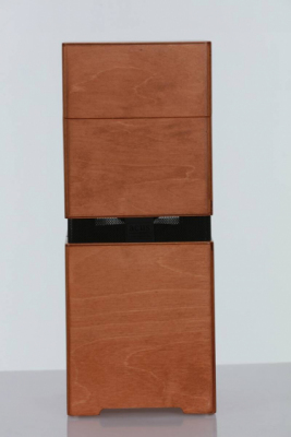 ACUS ALLAROUND 4 WOOD - Wzmacniacz do instrumentów akustycznych