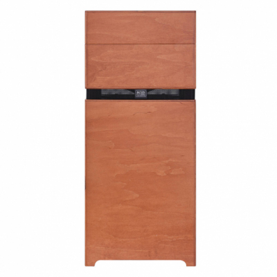 ACUS ALLAROUND 10 WOOD - Wzmacniacz do instrumentów akustycznych