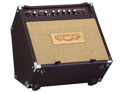CARLSBRO SHERWOOD 20 - Combo do gitary akustycznej