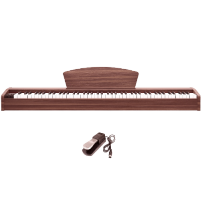 CLASSICA DIVERTIMENTO 100 SUBBROWN - Pianino cyfrowe
