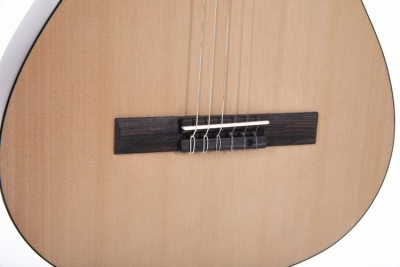 Gewa Basic Plus - Gitara klasyczna