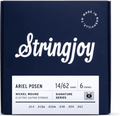 Stringjoy ARTAP SIGNATURES 14-62 Ariel Posen Artist Series - Struny do gitary elektrycznej