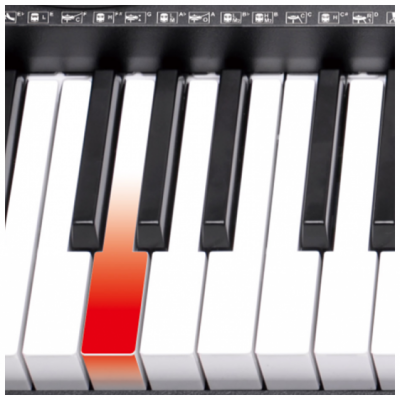 V-TONE VK 500-61L - keyboard do nauki gry z podświetlaną klawiaturą LED