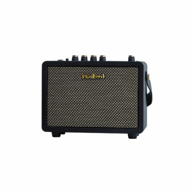 DK Technology iG-10Pro - Wzmacniacz do gitary elektrycznej