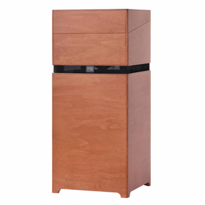 ACUS ALLAROUND 10 WOOD - Wzmacniacz do instrumentów akustycznych