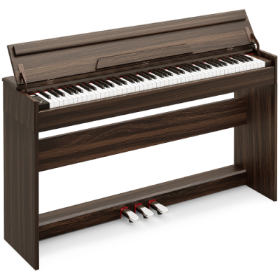 CLASSICA DIVERTIMENTO 200 BROWN - Pianino cyfrowe