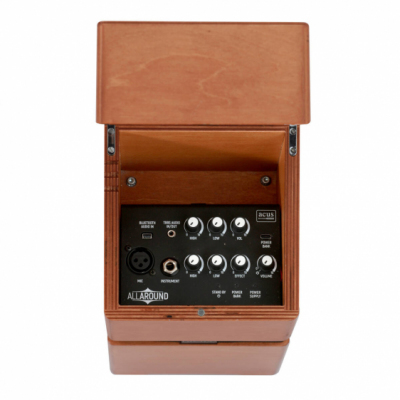 ACUS ALLAROUND 4 WOOD - Wzmacniacz do instrumentów akustycznych
