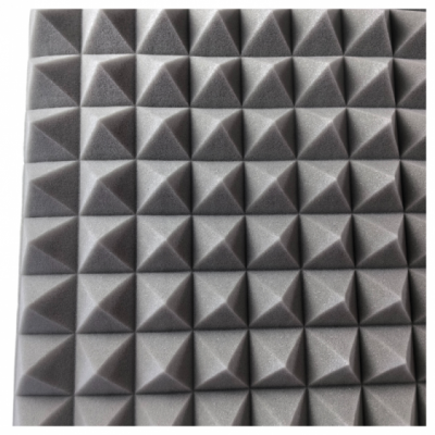 DNA AMR1 - Szara mata akustyczna