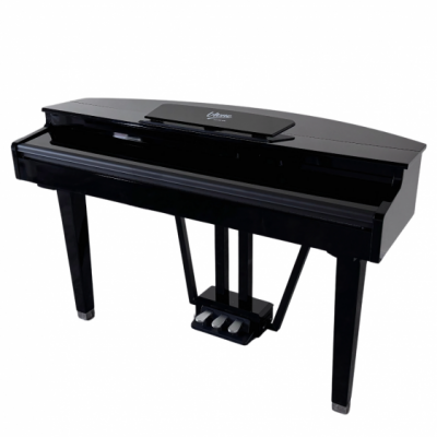 V-TONE GP-88 BK - Pianino cyfrowe