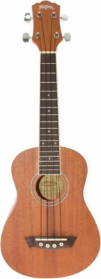 WASHBURN U 20 (N) ukulele