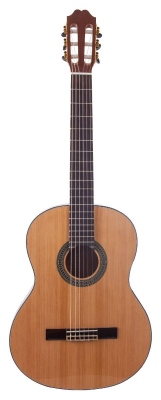 JM Forest Ispana 4/4 - gitara klasyczna-5864