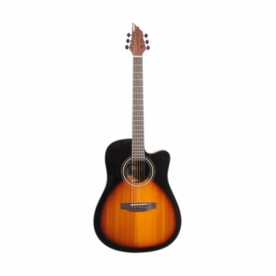 FLYCAT C200 CS Gitara akustyczna
