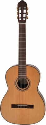 VSG Pro Andalus 10M - gitara klasyczna 4/4