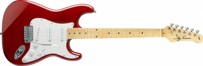 JAY TURSER JT 300 M (MRD) gitara elektryczna