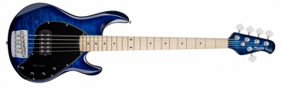 STERLING RAY 35 QM (NBL) - gitara basowa 5-strunowa