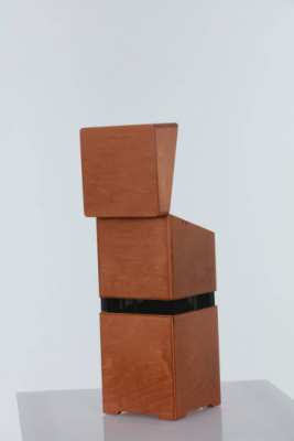 ACUS ALLAROUND 4 WOOD - Wzmacniacz do instrumentów akustycznych