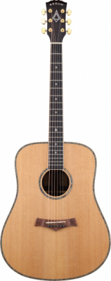 Arrow Platinium Elite D SIT/RW - Gitara akustyczna