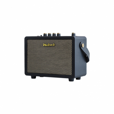 DK Technology iG-10Pro - Wzmacniacz do gitary elektrycznej