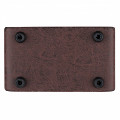 Ortega PTWO - Wzmacniacz Combo do gitary akustycznej