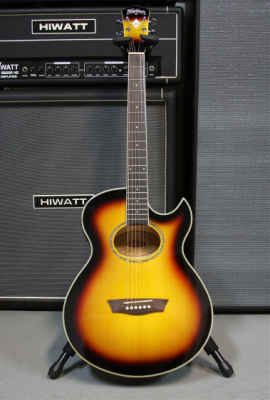 WASHBURN EA 20 (TS) gitara elektroakustyczna