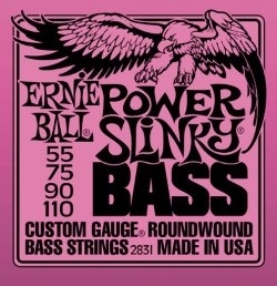 Ernie Ball Slinky 2831 55-110 - struny do gitary basowej