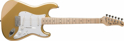 JAY TURSER JT 300 M (SHG) gitara elektryczna