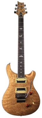 PRS 2017 SE Custom 24 Floyd Swamp Ash - gitara elektryczna, edycja limitowana-6366