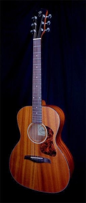 Levinson Canyon Greenbriar LG-222 OPN - gitara akustyczna-3409
