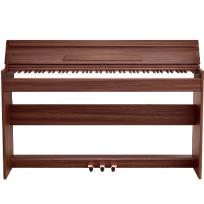 CLASSICA DIVERTIMENTO 250 SUBBROWN - Pianino cyfrowe