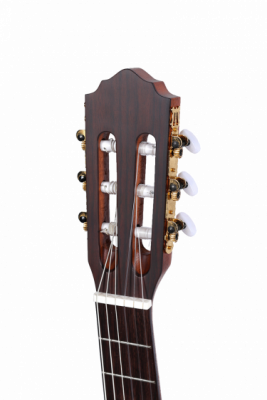 SAGA C800 - Gitara klasyczna 4/4