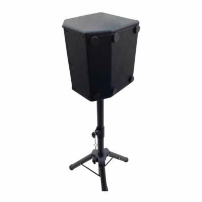 Acemic Q5 - Wzmacniacz do instrumentów