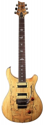 PRS 2017 SE Custom 24 Floyd Spalt Maple - gitara elektryczna, edycja limitowana-6365